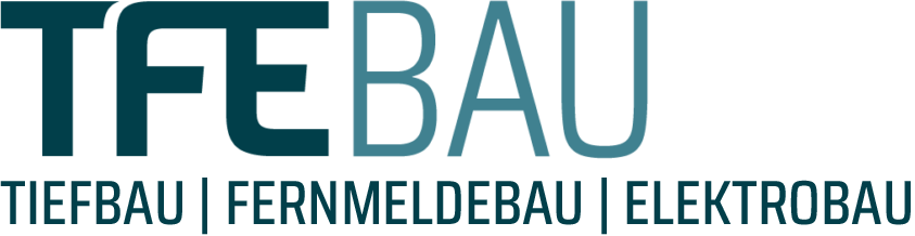 TFE BAU Logo